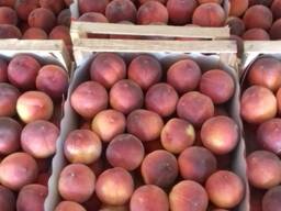 Персик Македония