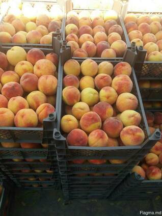 Персик урожай 2019