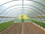Пленка ПВХ для теплиц - фото 2