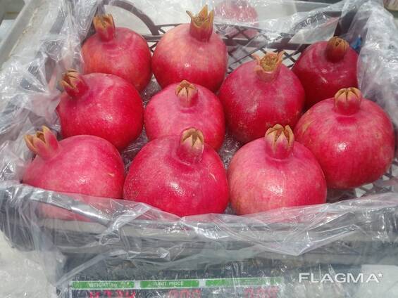 Pomegranate