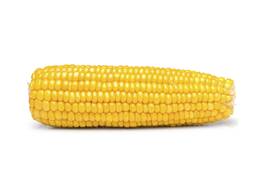Premium Quality Natural Yellow Corn | Dried Yellow Corn Grains For sale