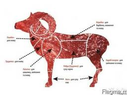 Продам говядину свинину баранину из Молдовы