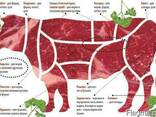 Продам говядину свинину баранину из Молдовы - фото 2