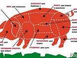 Продам говядину свинину баранину из Молдовы - фото 3