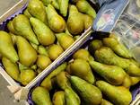 Продам грушу из Польши - фото 3