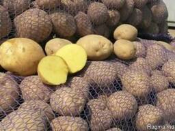 Продам картофель хорошего качества из Белоруссии
