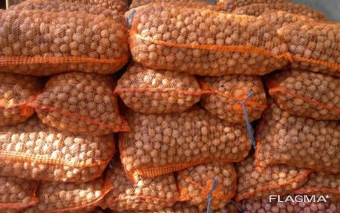 Продам орехи