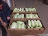 Продам овощи и фрукты с Польши - фото 1