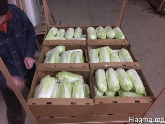 Продам овощи и фрукты с Польши