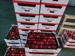 Продам яблоки с Польши - фото 8