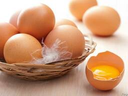 Продам яйцо куриное из Молдовы