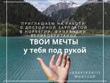 Работа, визы, внж во всей Европе для русско и англоговорящих - фото 1