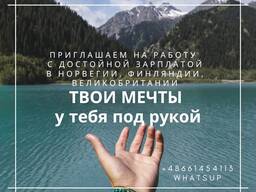 Работа, визы, внж во всей Европе для русско и англоговорящих