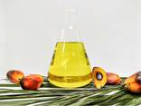 Refined palm oil Daily Food Cooking Palm Fruit Oil cp 10 cp 10 Refined Palm kernel oils - фото 3