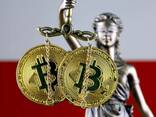 Регистрация/продажа польских фирм с лицензиями крипто и Fintech (MIP, KIP, VASP, SPI, EMI) - фото 1