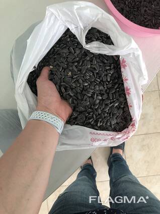 Семечка подсолнечника 38