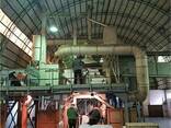 Семечка подсолнечника кондитерская - photo 5