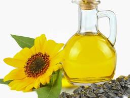 Shelled black oil sunflower seeds for oil production
