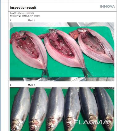 Скумбрия мороженая