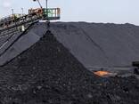 Угольный концентрат - фото 1