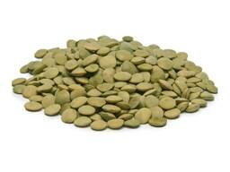 Wholesale Newest Crop Small Lentils Beans High Quality Bulk Dried Green Lentils