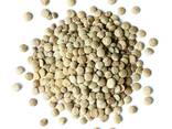 Wholesale Newest Crop Small Lentils Beans High Quality Bulk Dried Green Lentils - фото 1