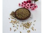 Wholesale Newest Crop Small Lentils Beans High Quality Bulk Dried Green Lentils - фото 2