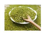 Wholesale Supplier Of Bulk Fresh Stock of Green Mung Beans / Whole Moong Beans - photo 2