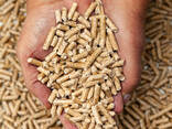 Wood Pellets 15kg Bags, (Din plus / EN plus Wood Pellets A1 for sale