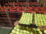 Яблоки разных сортов из Польши - photo 3